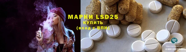 ГАЛЛЮЦИНОГЕННЫЕ ГРИБЫ Белокуриха