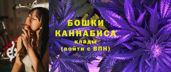 ГАЛЛЮЦИНОГЕННЫЕ ГРИБЫ Белокуриха