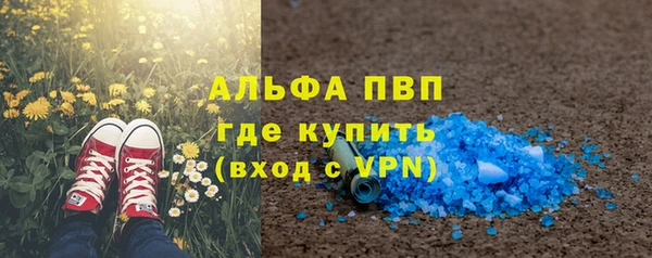 ГАЛЛЮЦИНОГЕННЫЕ ГРИБЫ Белокуриха