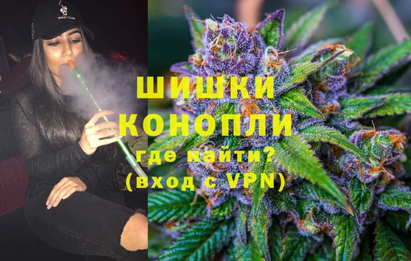 ГАЛЛЮЦИНОГЕННЫЕ ГРИБЫ Белокуриха