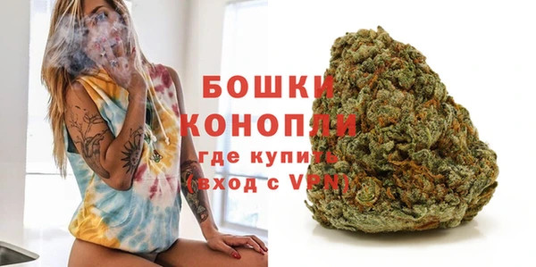 ГАЛЛЮЦИНОГЕННЫЕ ГРИБЫ Белокуриха