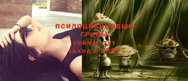 ГАЛЛЮЦИНОГЕННЫЕ ГРИБЫ Белокуриха