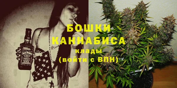 ГАЛЛЮЦИНОГЕННЫЕ ГРИБЫ Белокуриха