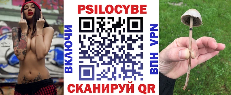 Галлюциногенные грибы Cubensis  mega вход  Хотьково  сколько стоит 